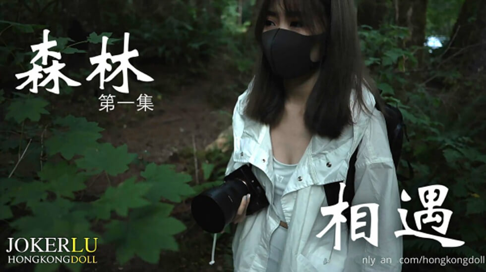 森林第一集相遇